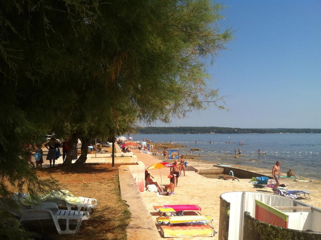 Apartment Sincic Novigrad  Exterior photo