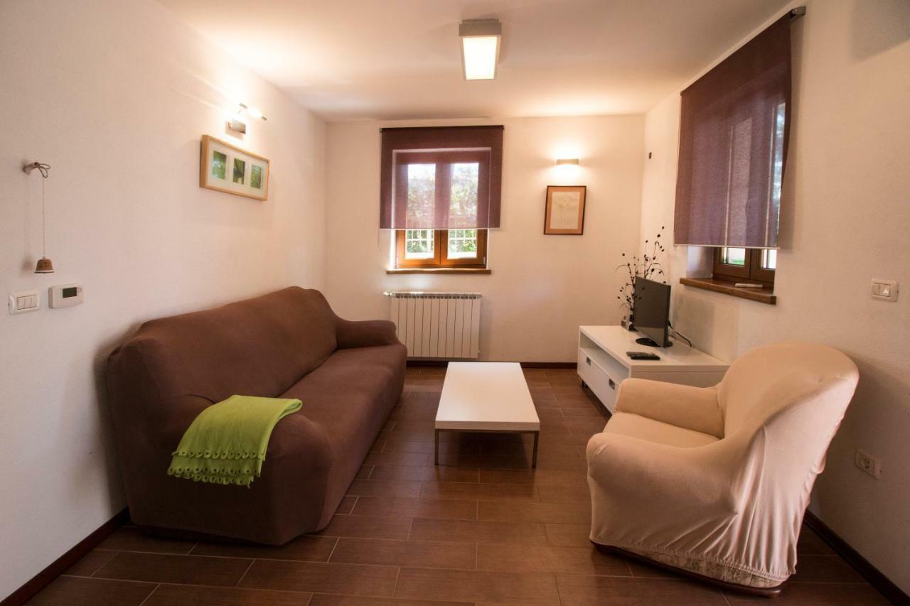 Apartment Sincic Novigrad  Exterior photo
